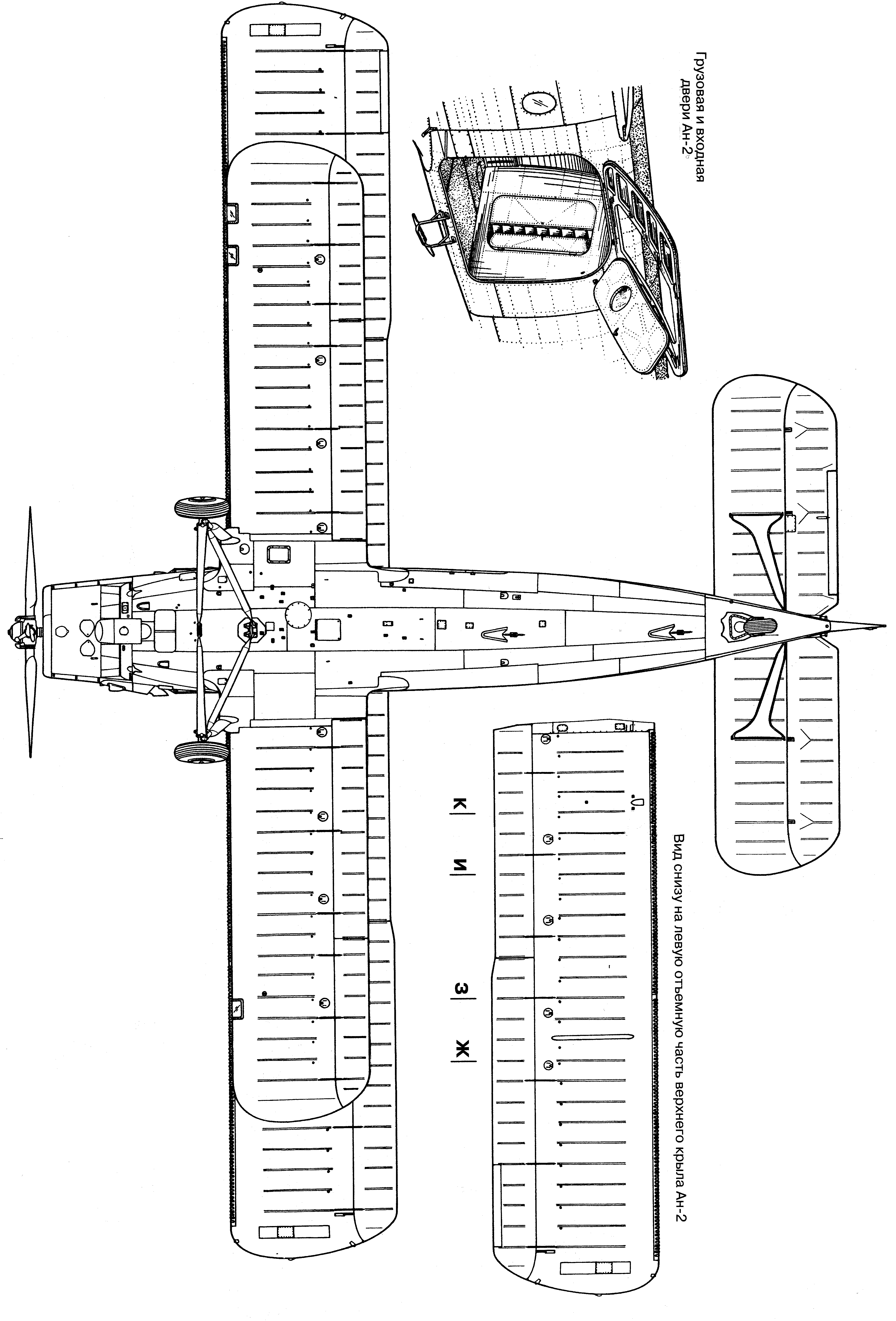 Antonov-An-2-blueprint-4