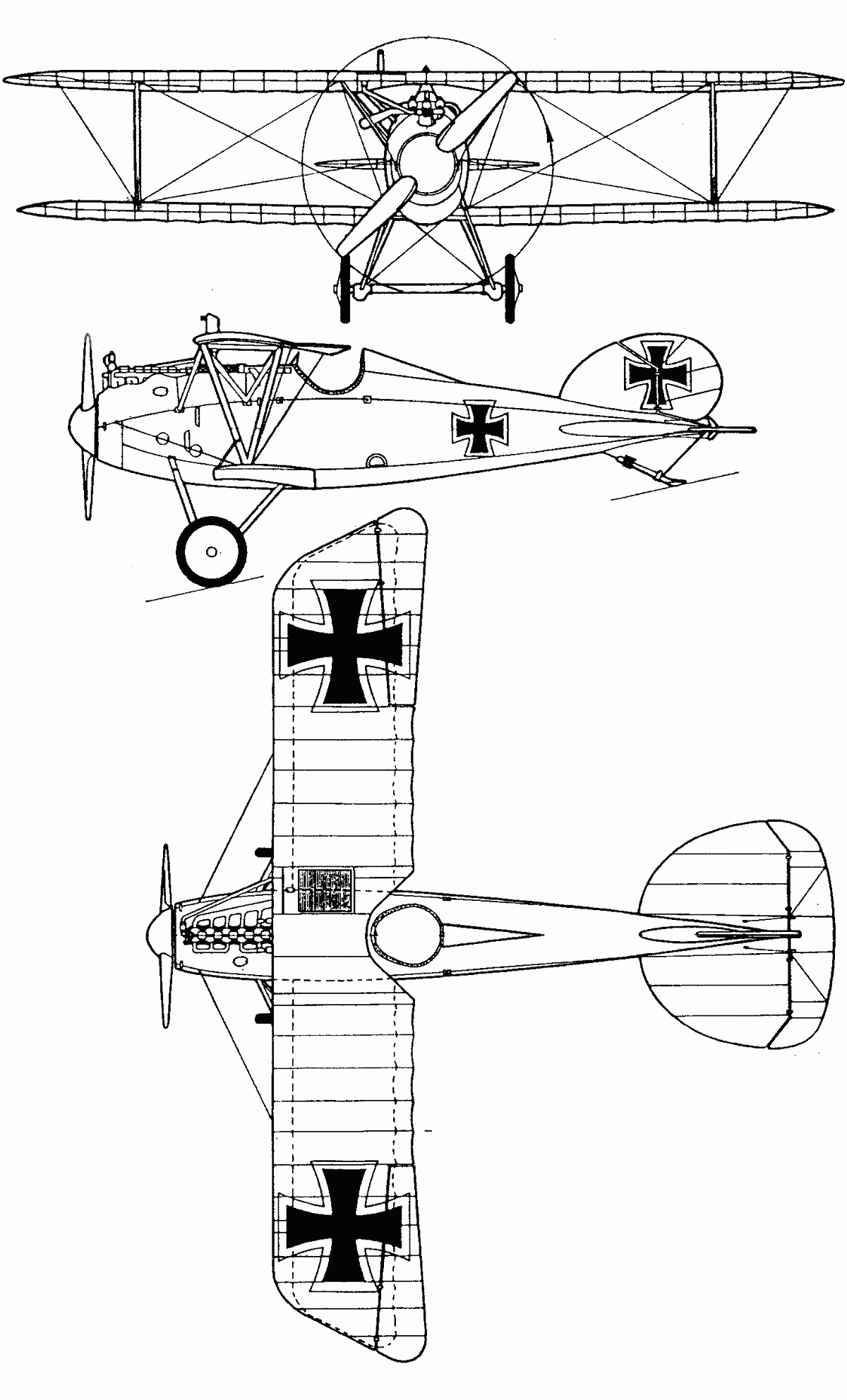 Albatros D.V blueprint
