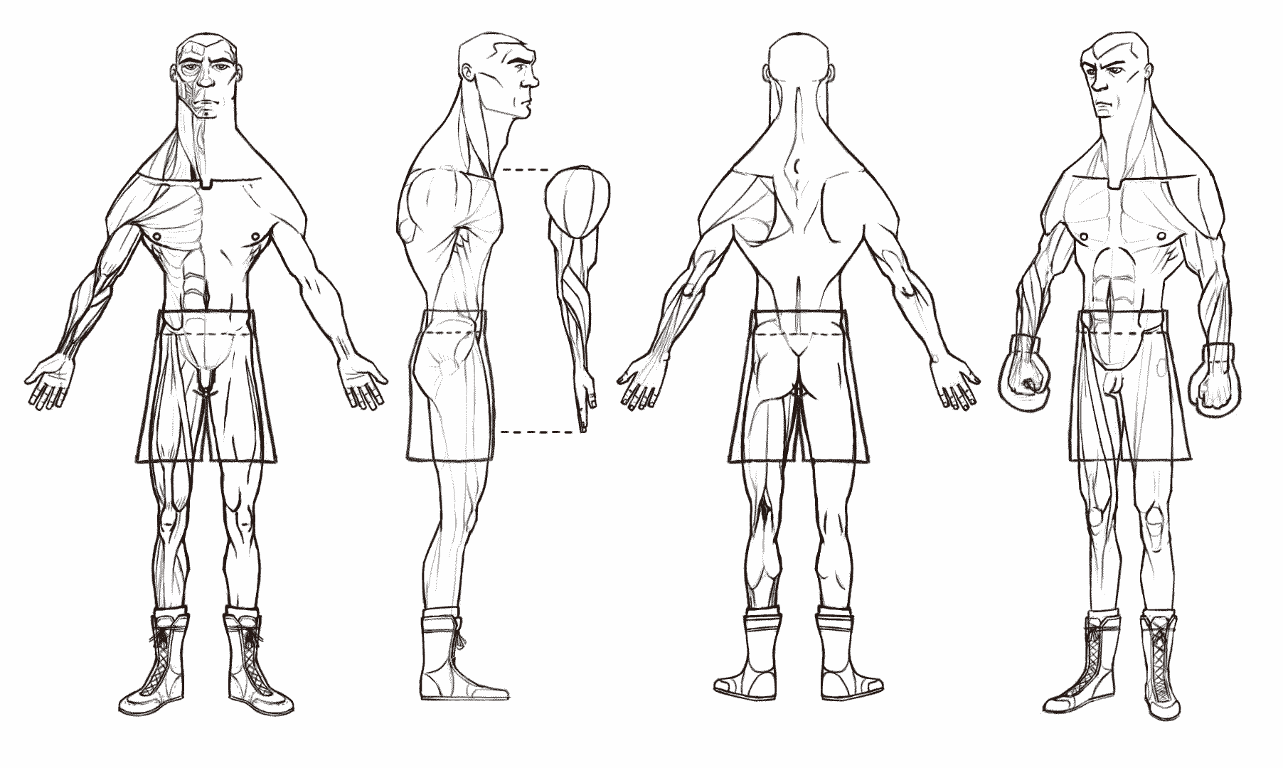 Cartoon boxer blueprint