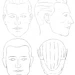 Male head blueprint