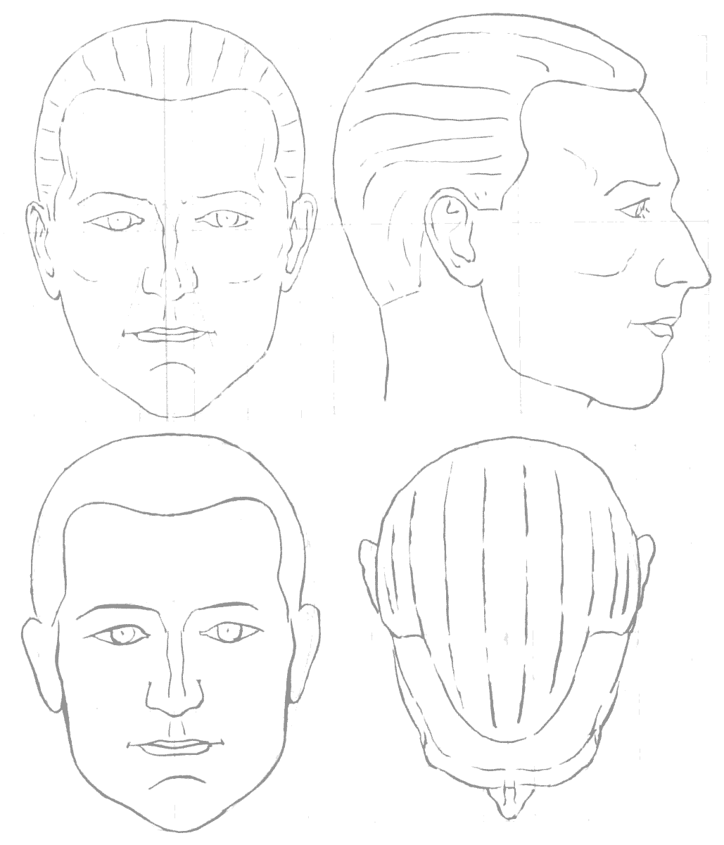 Male head blueprint